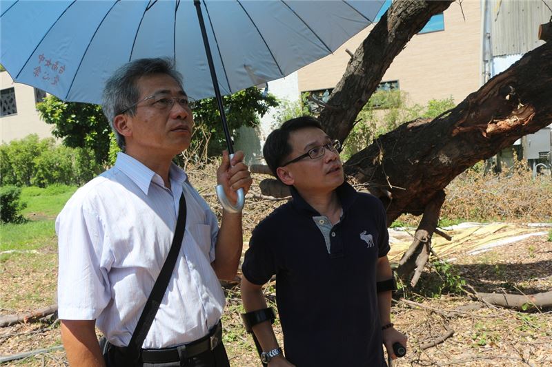 樹保專家林試所研究員張東柱(左)現場診斷金龜樹受損狀況,並提供緊急搶救專業建議